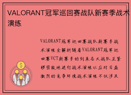 VALORANT冠军巡回赛战队新赛季战术演练